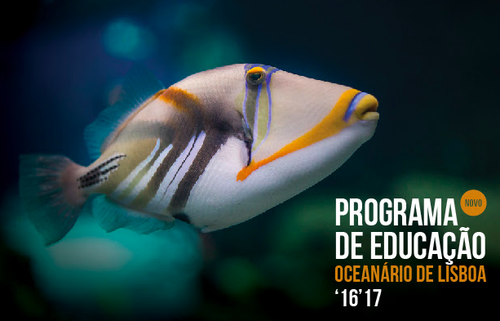 oceanario.png oceanario.png