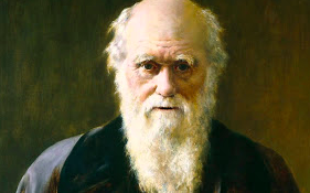 Darwin.png Darwin.png