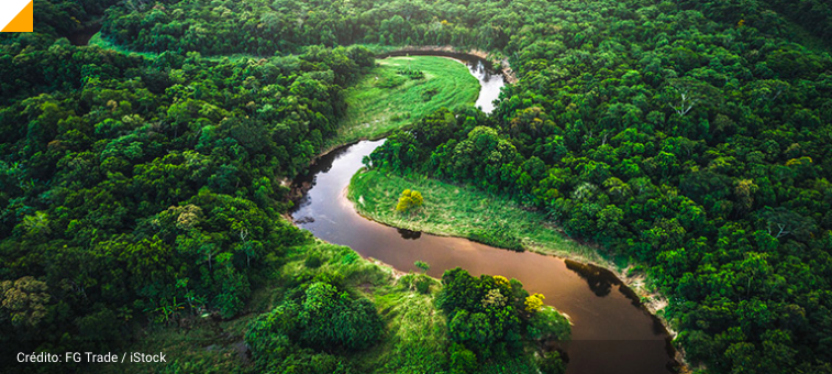 amazonia.png amazonia.png