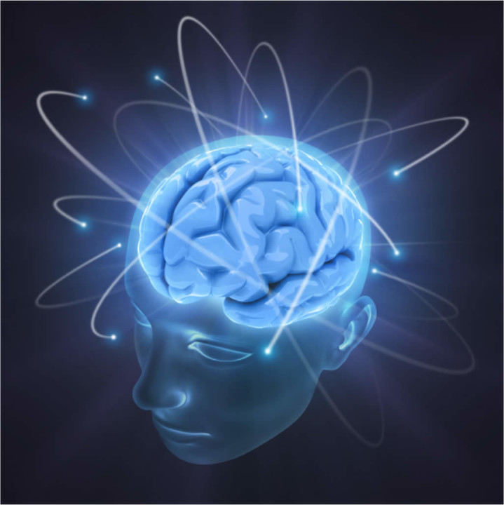 Neurociencia.jpg Neurociencia.jpg