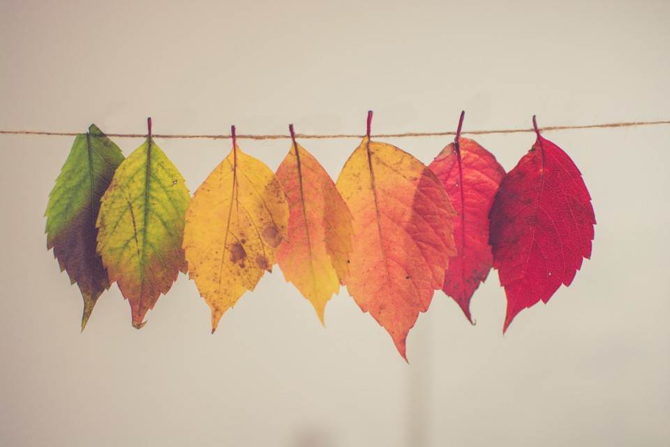 chris-lawton-5IHz5WhosQE-unsplash - Ana Paula Fari chris-lawton-5IHz5WhosQE-unsplash - Ana Paula Fari