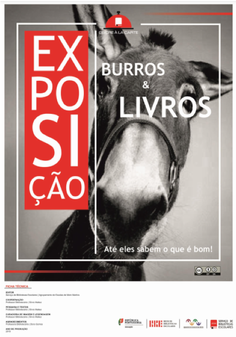 Imagem5.png