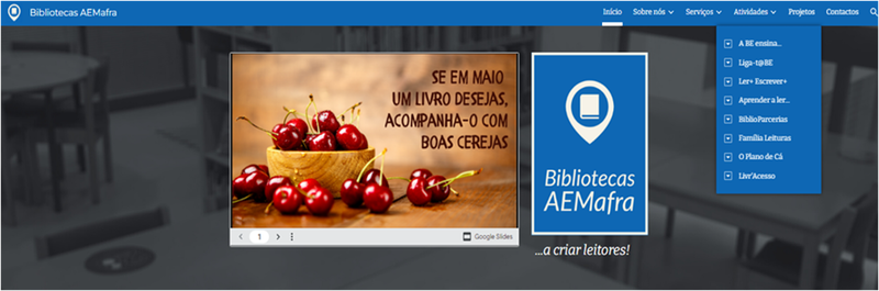 Imagem1 (1).png