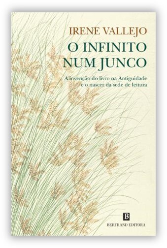 Imagem3.jpg
