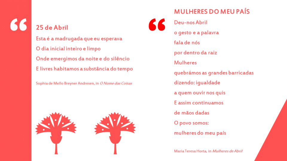 Imagem 1.png