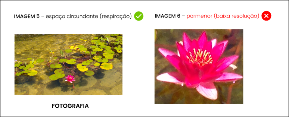 Imagem3.png